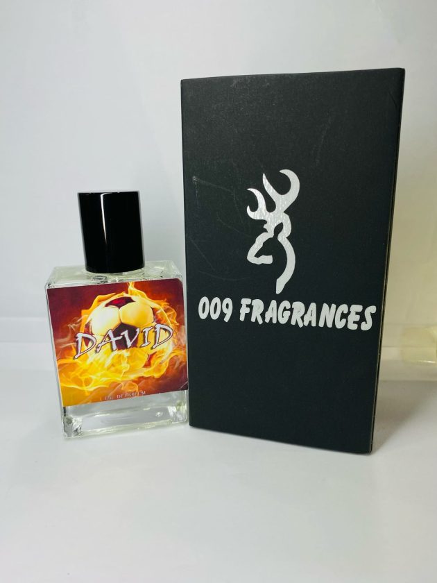 David - Image 3